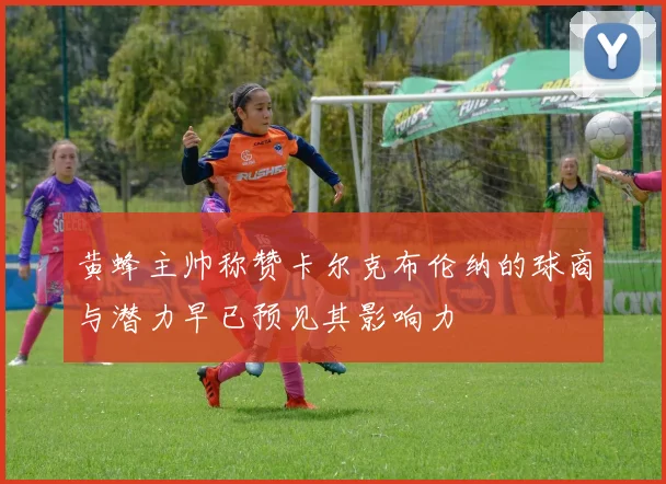 黄蜂主帅称赞卡尔克布伦纳的球商与潜力早已预见其影响力