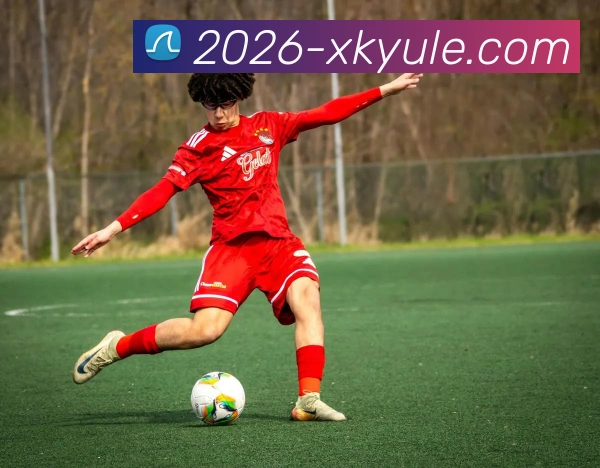 星空娱乐平台生态图