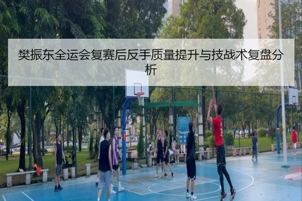 樊振东全运会复赛后反手质量提升与技战术复盘分析（xingkong）